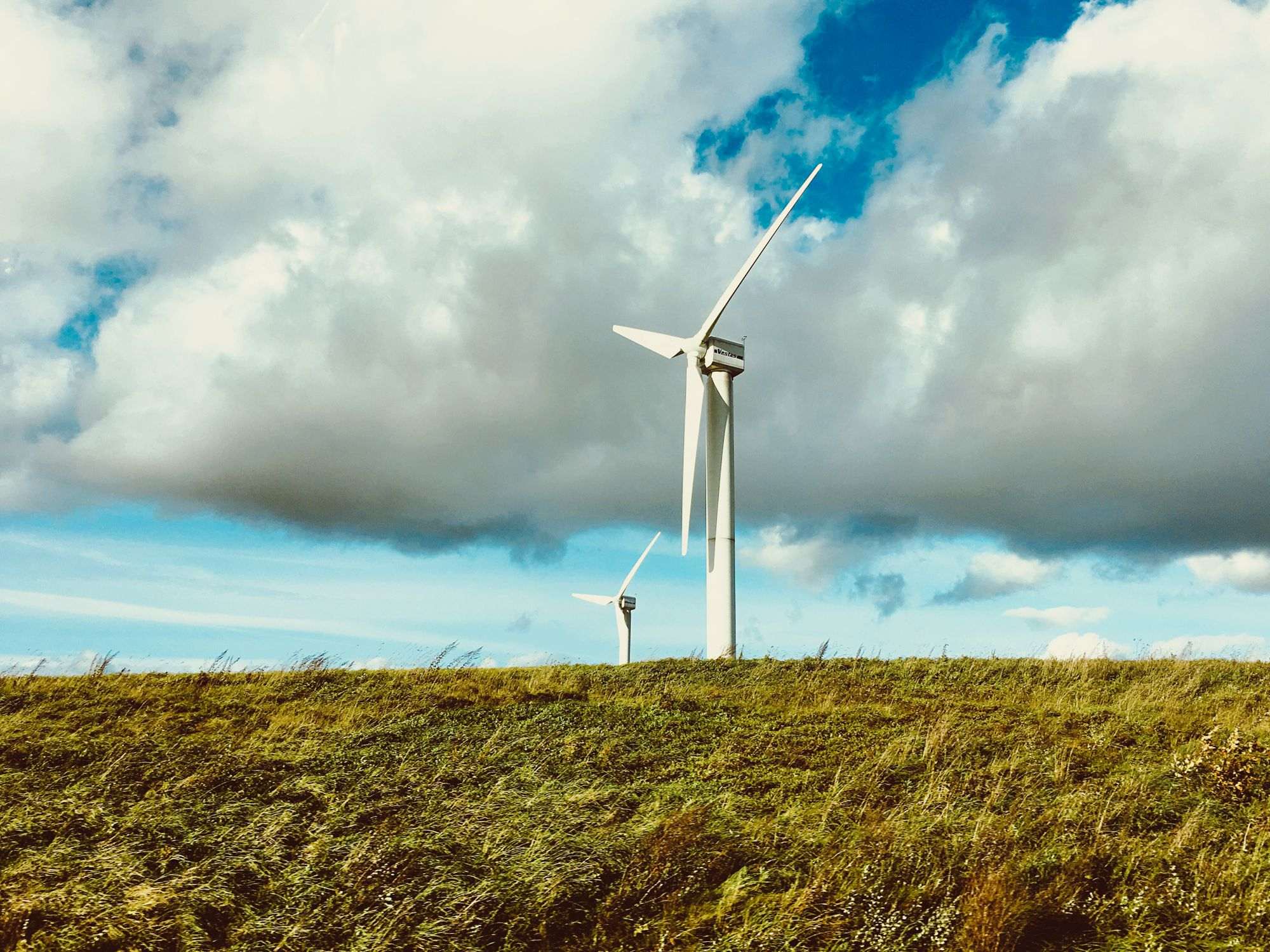 Wind turbines in a green field under a blue sky with white clouds